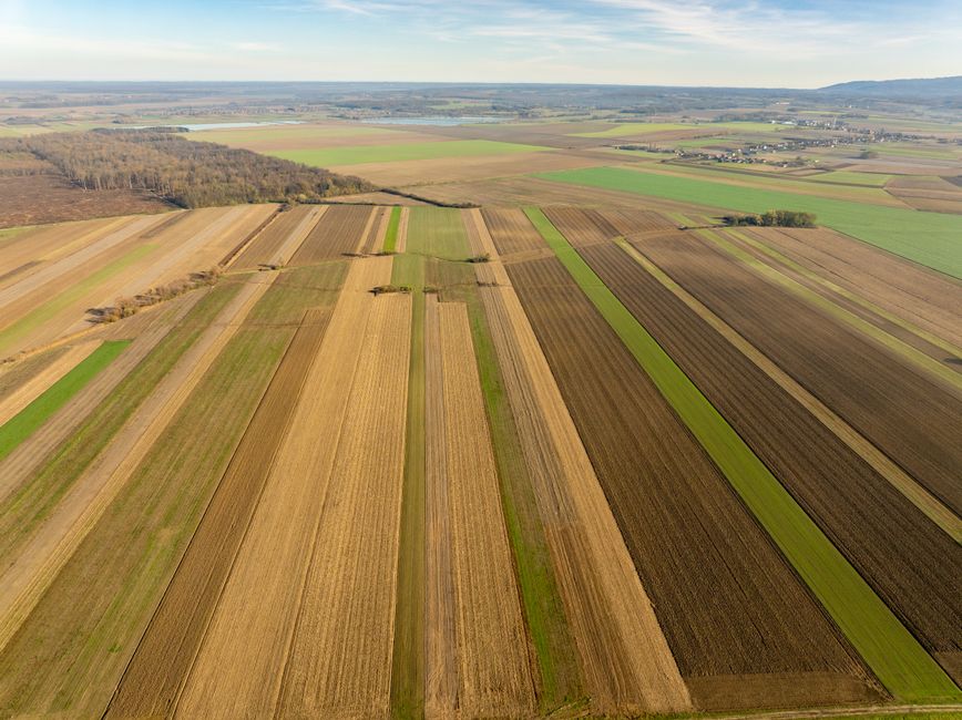 Diagnóstico Agronômico de Campo em Sistemas de Produção Agrícola