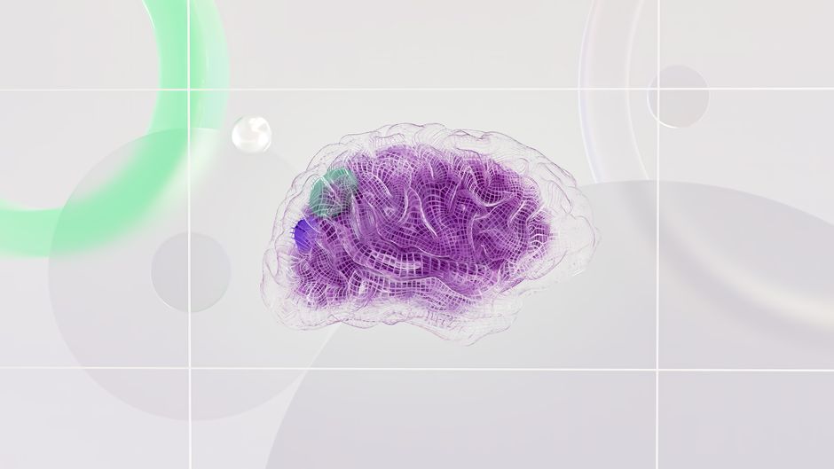 Neuropsicopedagogia